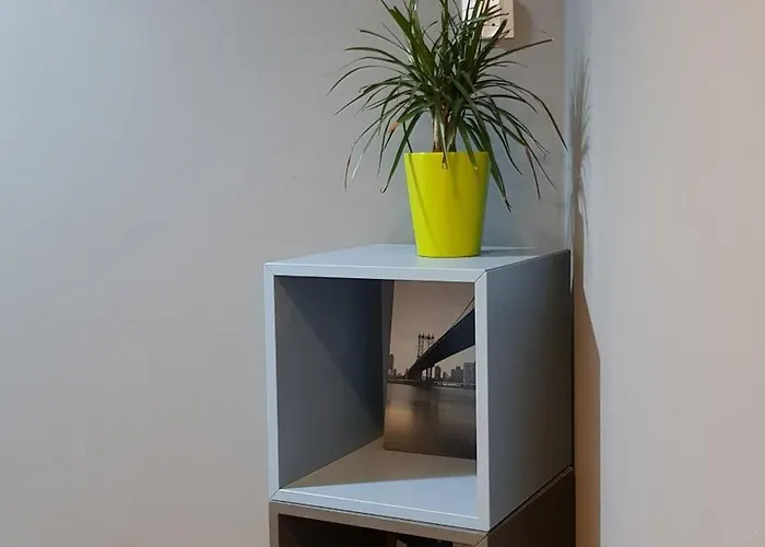 R O M A N T I C View By Kato